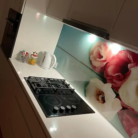 Modern In Center Apartment Sarajevo